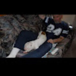 Meet your Posher, Jerry